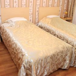 Номер стандарт с 2 односпальными кроватями (Корпус 1)