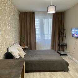 Фото Апартаменты на улице Карамзина 16