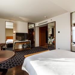 Ararat Park Hotel Moscow (Арарат Парк Хаятт Москва) — bb6754f9c5d94b7cb3f4b7a9cc191d22