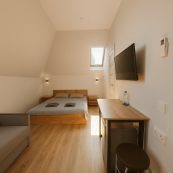 Номер люкс (мансарда)