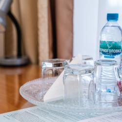 2-местный номер стандарт с 1 двуспальной кроватью