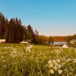 Шале стандарт с 2 односпальными и 1 двуспальной кроватью