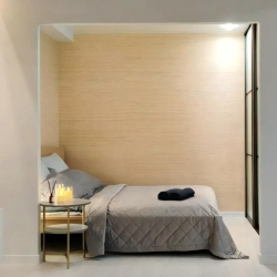 1-комнатные апартаменты студия