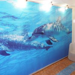 Фото Отель Polo 74 (Поло 74) (бывш. Астра)