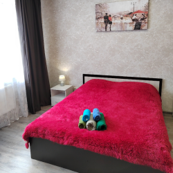 Фото Апартаменты на улице Псковская 3