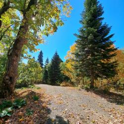 Фото Отель Яворова Park (Парк)