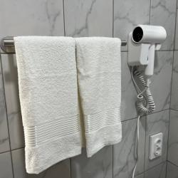 Фото Отель Зелёный двор
