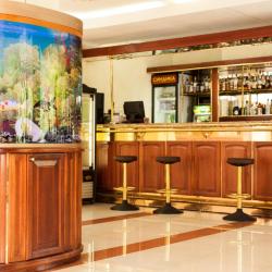 фото 45 Синдика SPA-Отель