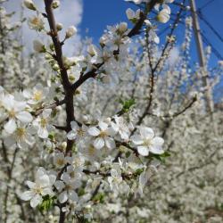 Фото Отель Центральный гостевой дом