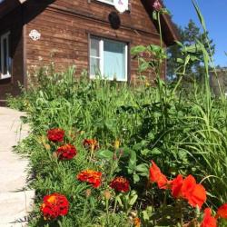 Фото Отель Сосновый бор