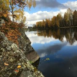 фото 74 Медвежий угол