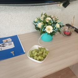 1-комнатные апартаменты студия