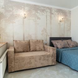 Апартаменты студия