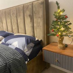 1-комнатные апартаменты студия