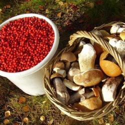 Фото Отель Берлога