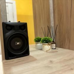 Апартаменты студия гостиничный комплекс Радуга 10И (мансарда)