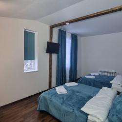 Фото Отель Шишкино-парк аэропорт Домодедово