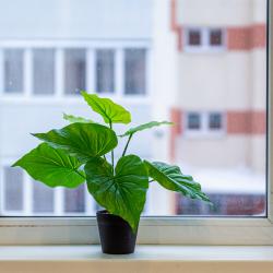 1-комнатные апартаменты люкс