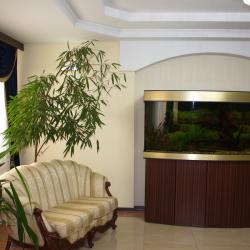 Фото Отель Сибирь