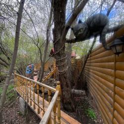Фото Отель Коттедж в Абзаково