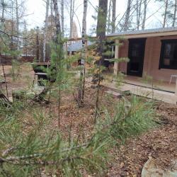 DreamHouse Village (ДримХаус Вилладж) — bc2de5b2e9cefe128eb7abc07ff3be0b