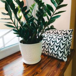 Фото Отель 40 Подушек