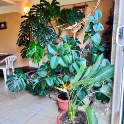 Фото Отель Каролина