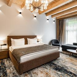 Номер делюкс с 1 двуспальной кроватью и видом на реку