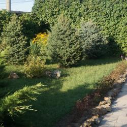 Фото Отель B&B (Би энд Би Гостевой дом)