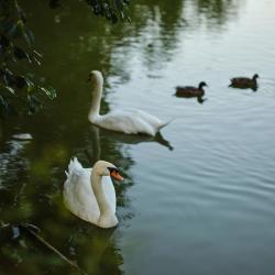 Фото Отель Village (Вилладж)