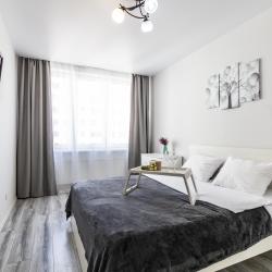 2-комнатные апартаменты улучшенные BeGuest Азина 22/2