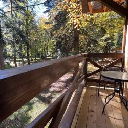 3-местный номер улучшенный комфорт