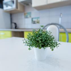 Фото Отель Веста на улице Пушкина