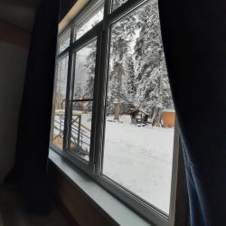 Бунгало премиум