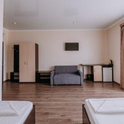 3-местный номер стандарт с 1 односпальной и 1 двуспальной кроватью