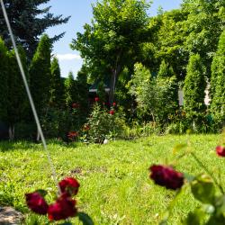 Фото Отель Mountains (Маунтинс)