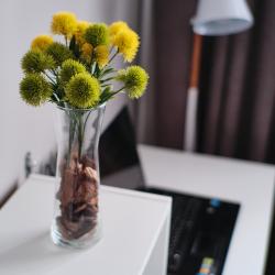 1-комнатные апартаменты студия г.Иркутск, ул. Красноярская 57