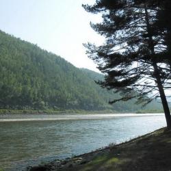 Фото Отель Кедр