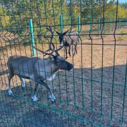 Фото Отель Хуторок Озерный
