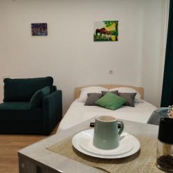 1-комнатные апартаменты студия