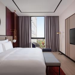 Номер люкс с 1 двуспальной кроватью (на верхнем этаже)