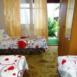Фото Отель Южная пальмира