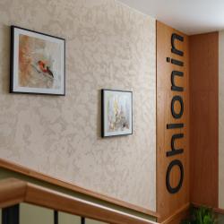 Фото Антиквар-отель мещанина Охлонина