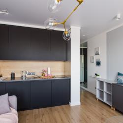 1-комнатные апартаменты улучшенные Loft 190