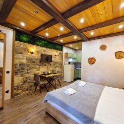 2-местный номер студия