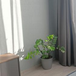 Фото Апартаменты на улице 10 лет Октября улица, 64а, к2