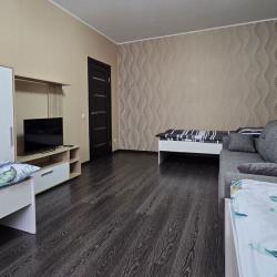 Апартаменты стандарт микрорайон Южный, улица Курыжова, 7к2