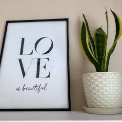 Фото Апартаменты на проспекте Красный 90