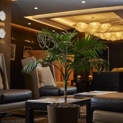 Фото Art HOTEL (Арт отель)