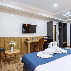 Номер премиум с двуспальной кроватью